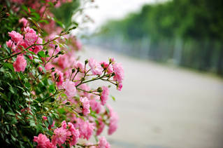 合肥大學碩士研究生“三助”工作...